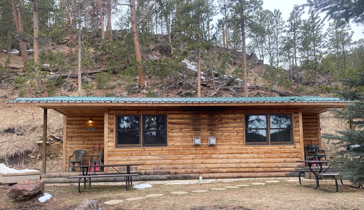 Dakota Cabin ，靠近 Rushmore at Pine Rest Cabins