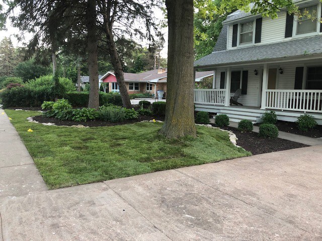 1920’s Farmhouse in The City