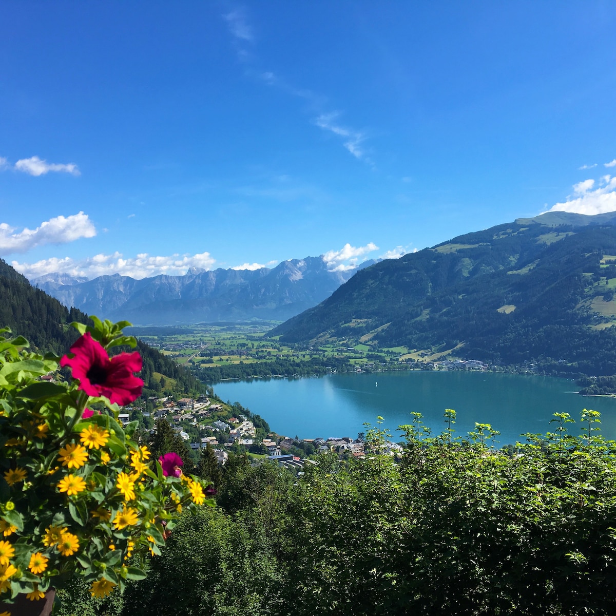 Landhaus Bergner Alm - Edelweiss Spitze Apartment