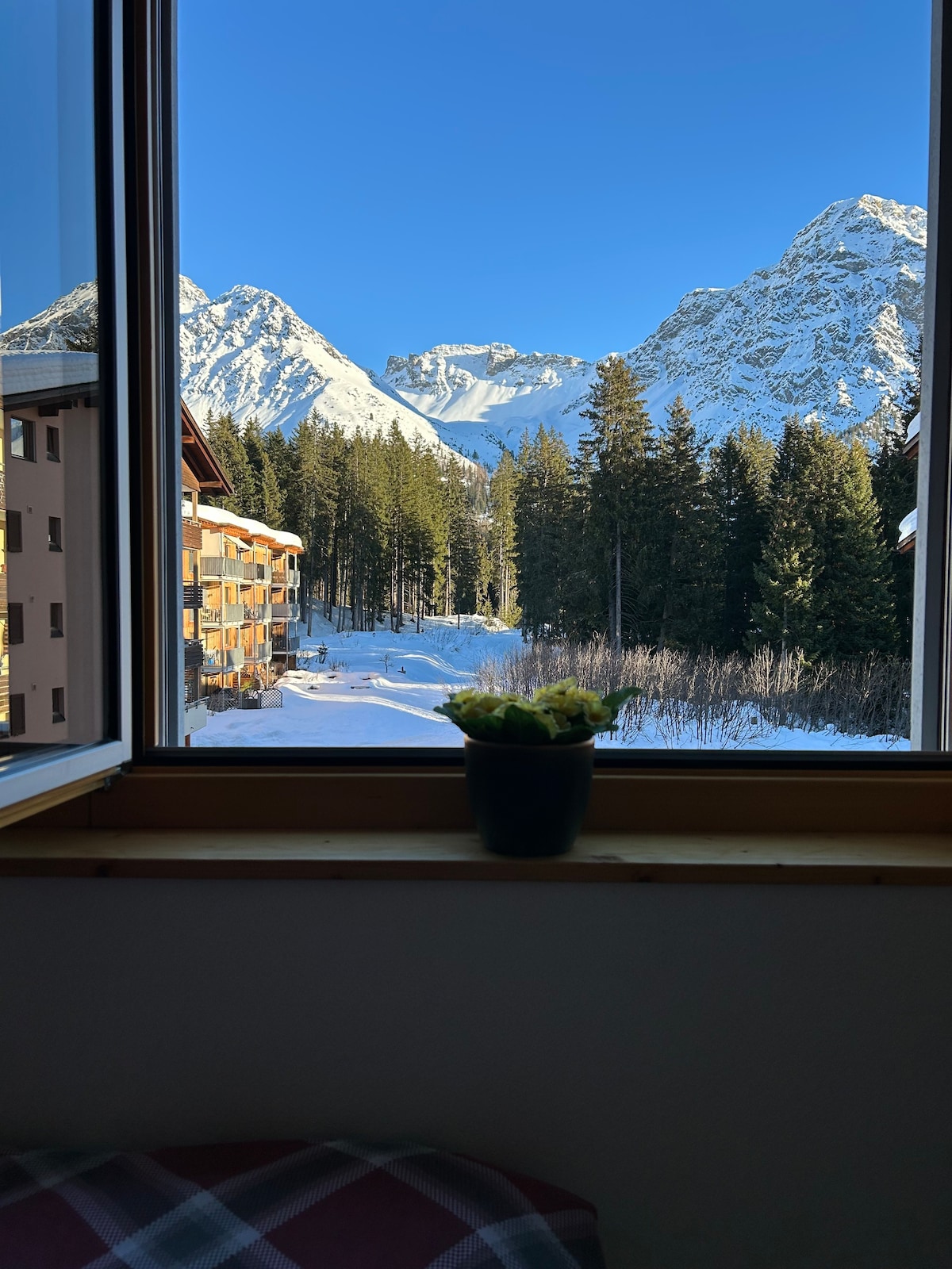 The Window to the Mountains
