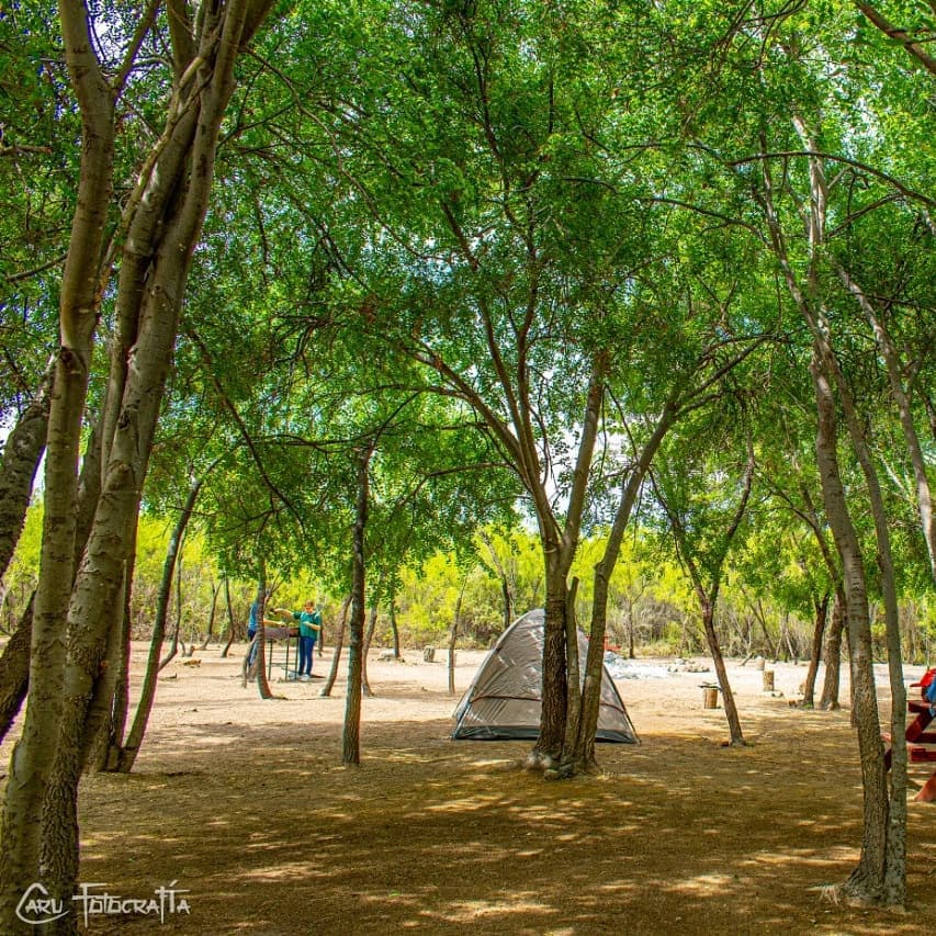 Zona De Camping El Abuelo Campamento