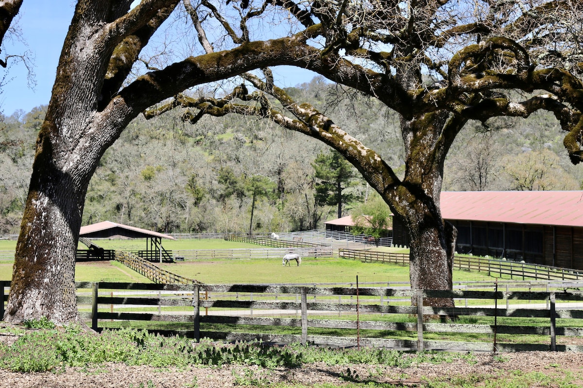 Alpine Ranch Farmhouse ~ Wine Country