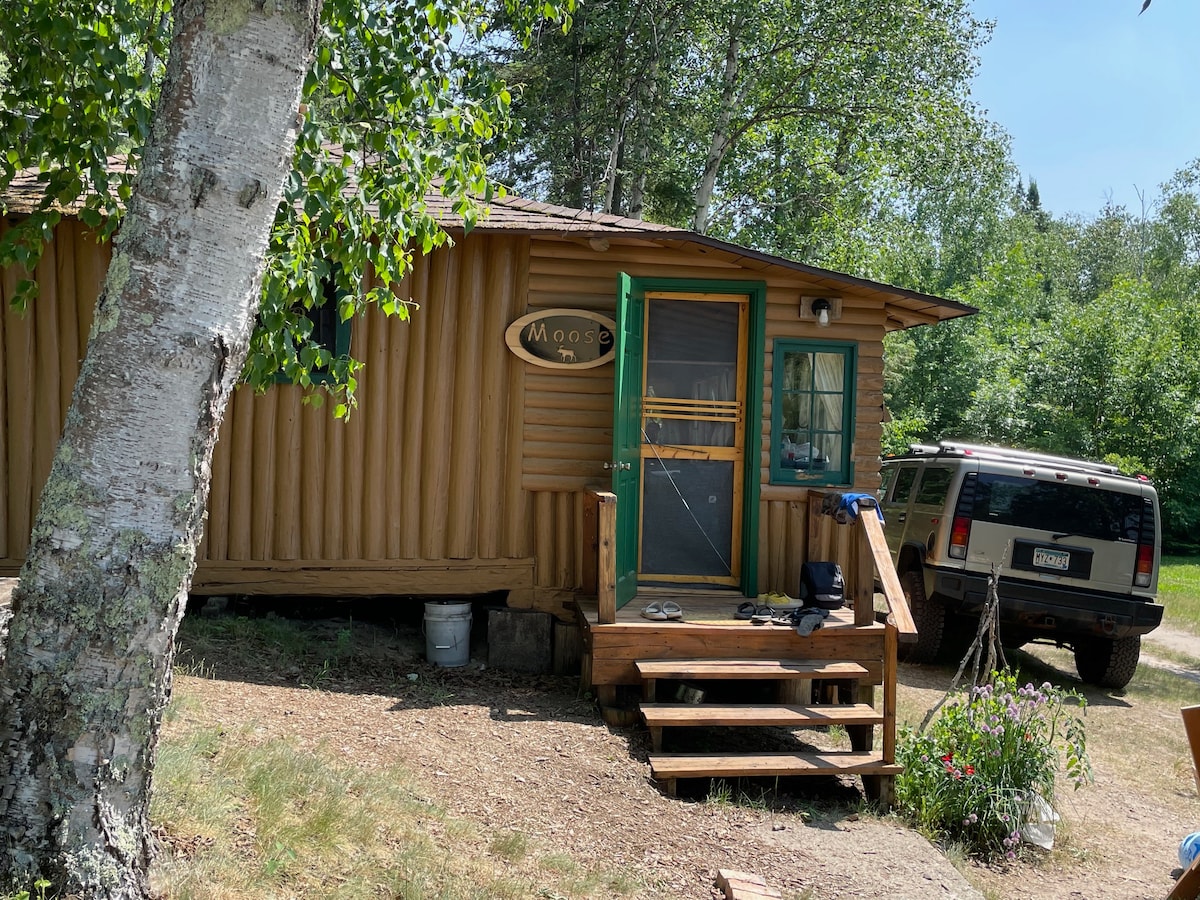 荒野风中的驼鹿小屋