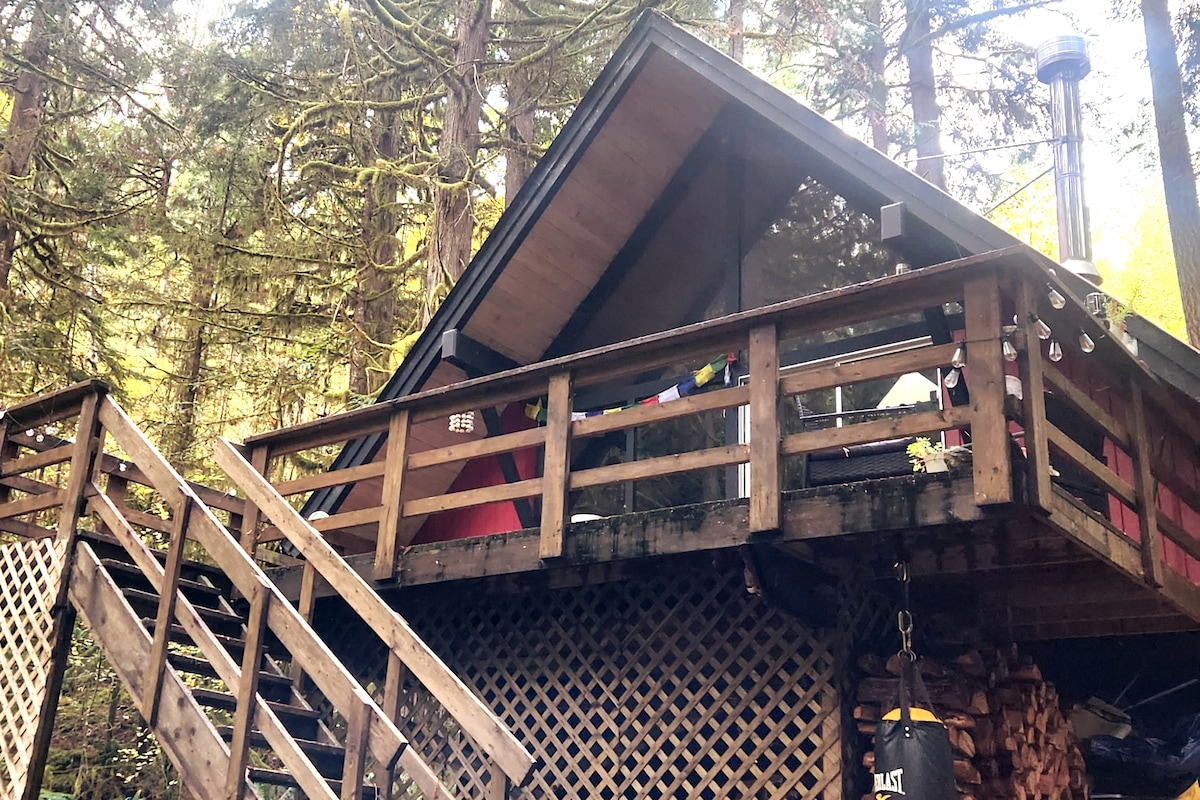 Cabin at Javi's Spring with rustic forest bath