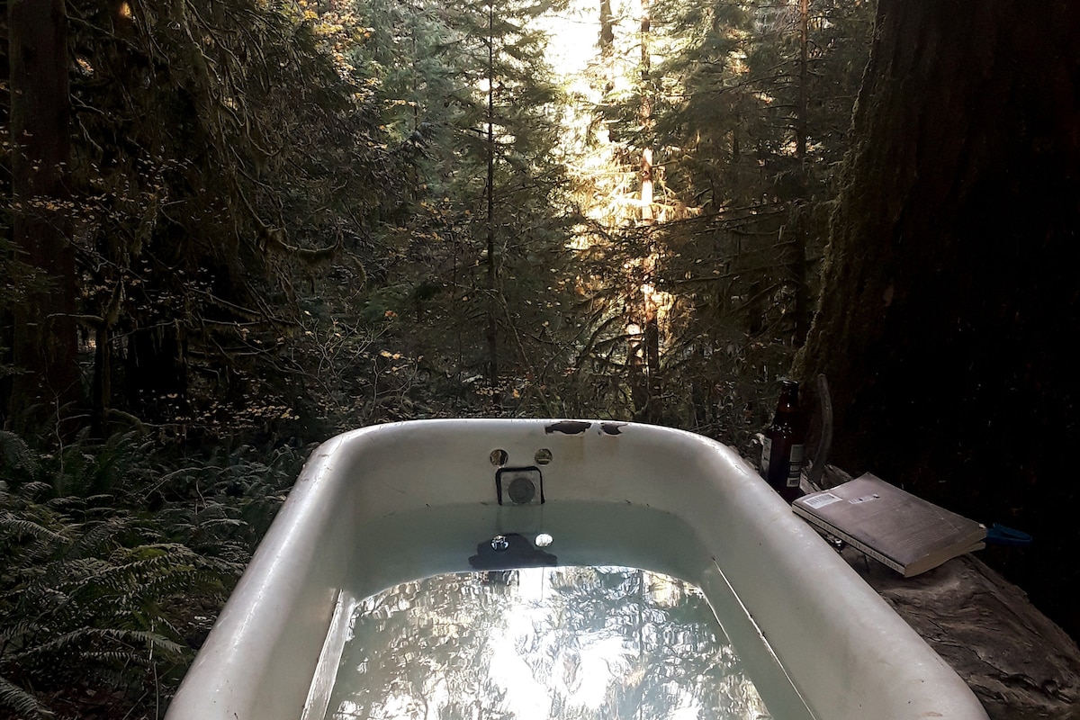 Cabin at Javi's Spring with rustic forest bath