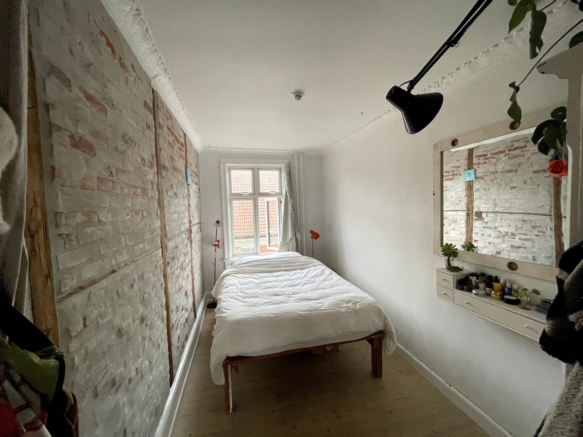 位于可爱的Nørrebro的舒适三室公寓