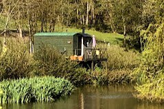 Snug & Secluded Lakeside shepherds hut