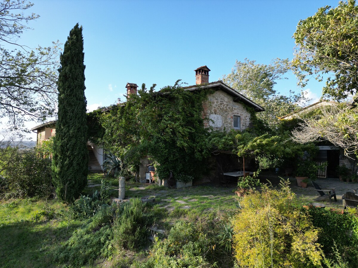 Casa al Bosco ， Donnini ，农场