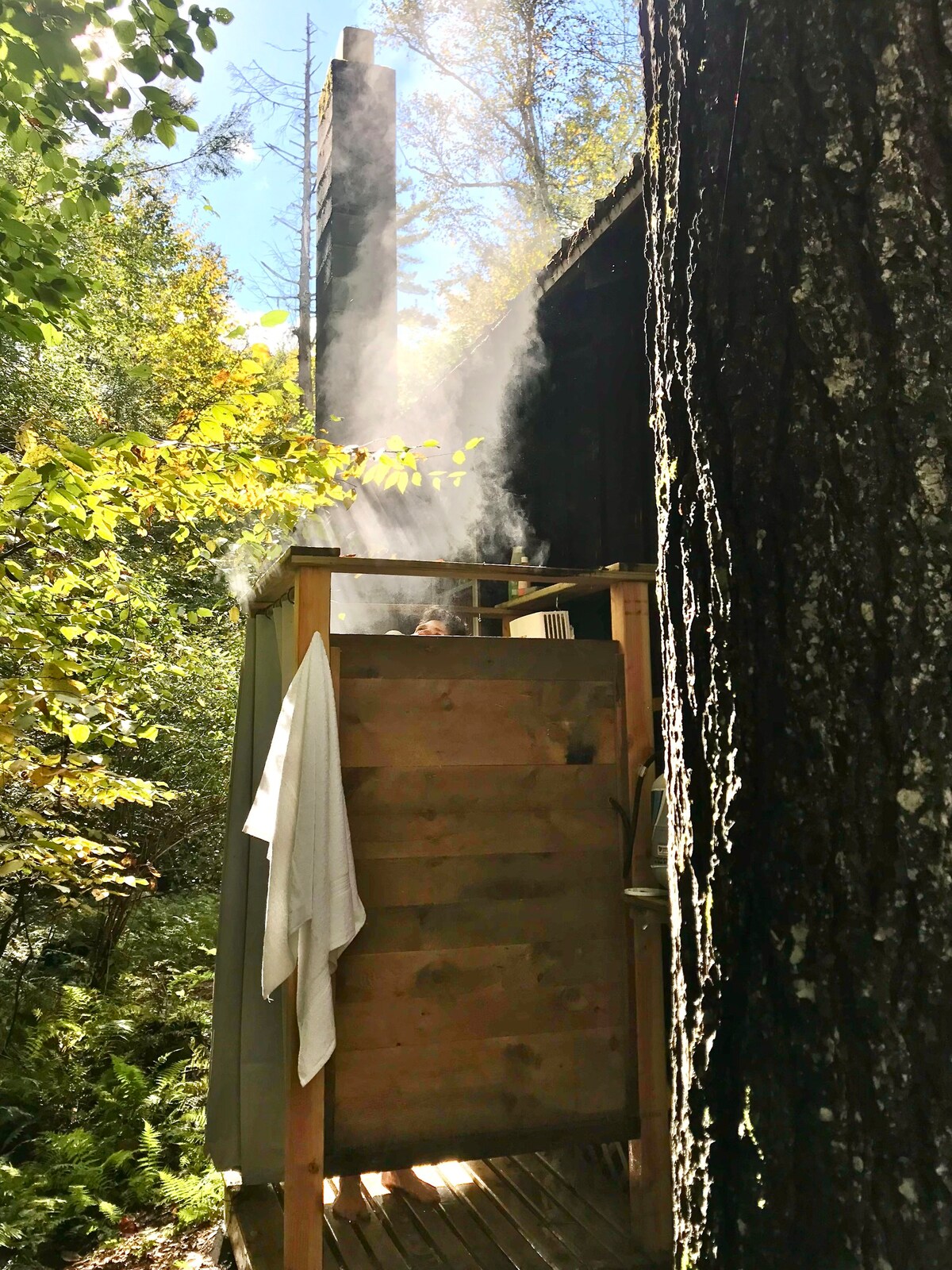 Off-the-Grid Cabin in the Forest