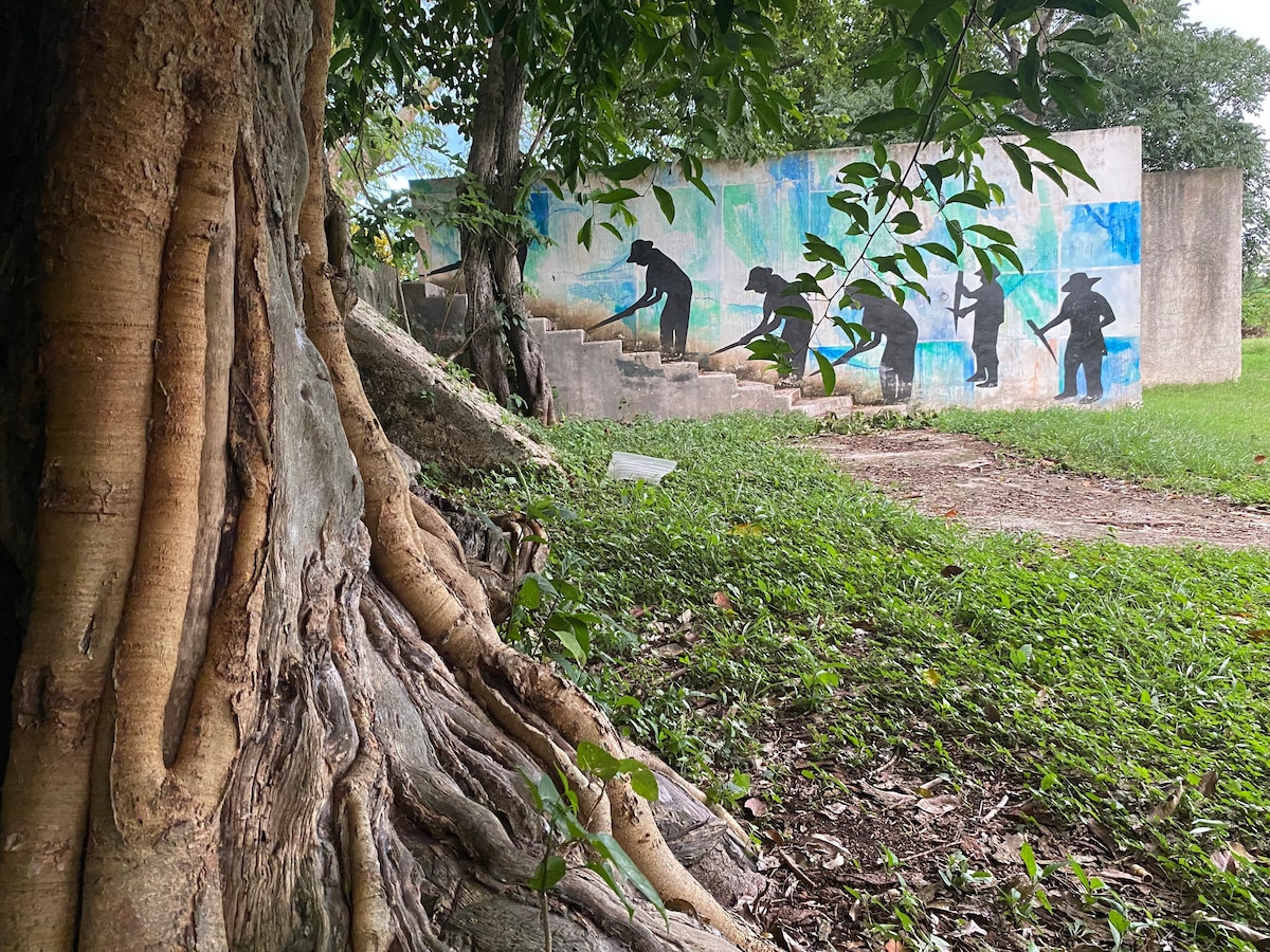 位于Kankabal的舒适房间，距离Izamal 15分钟路程