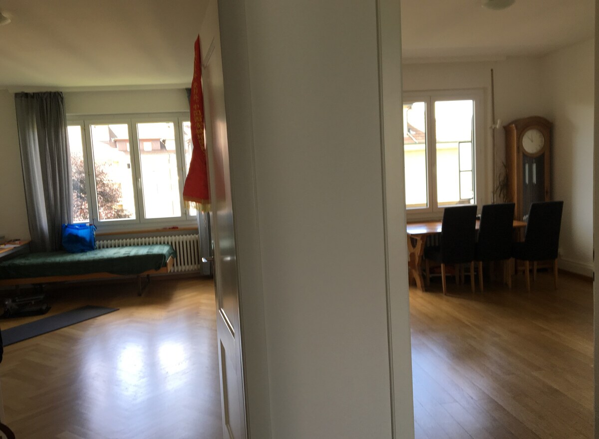 Grosse, helle und zentrale Wohnung mit Balkonen