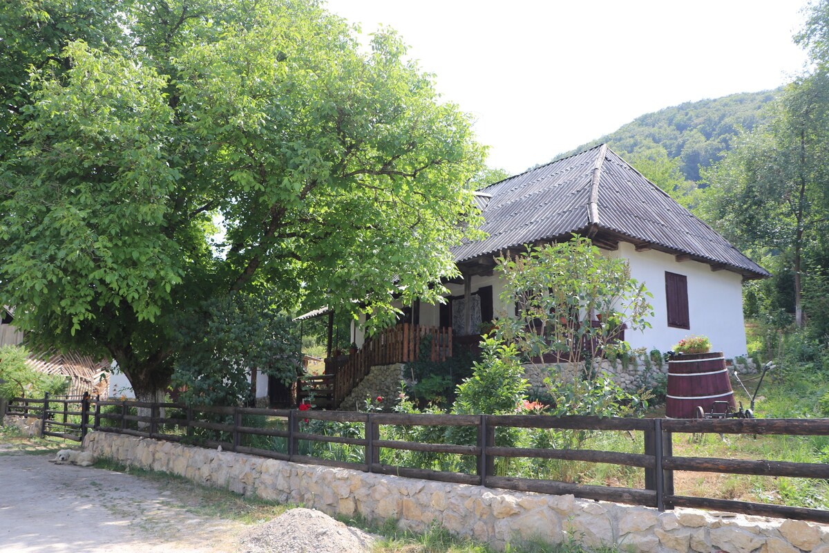 位于Tara Lapusului Maramures的传统民宅