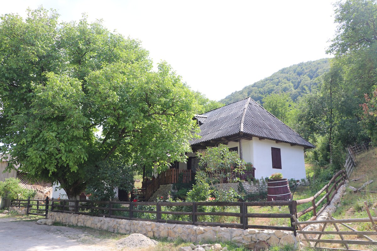 位于Tara Lapusului Maramures的传统民宅