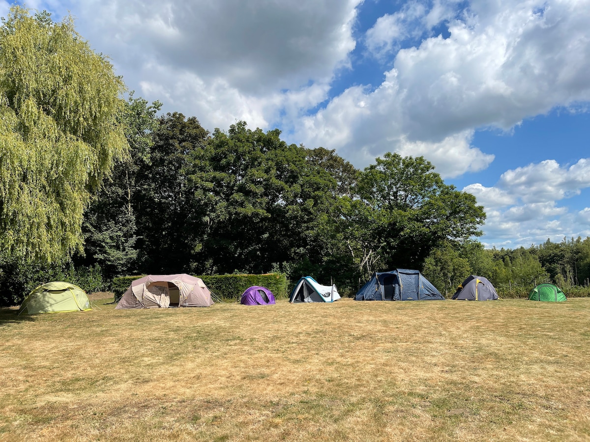 露营2-3个帐篷@ Tomorrowland
