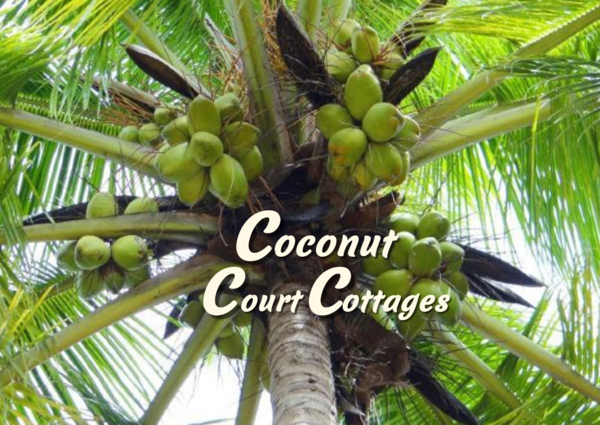 Coconut Court Cottages