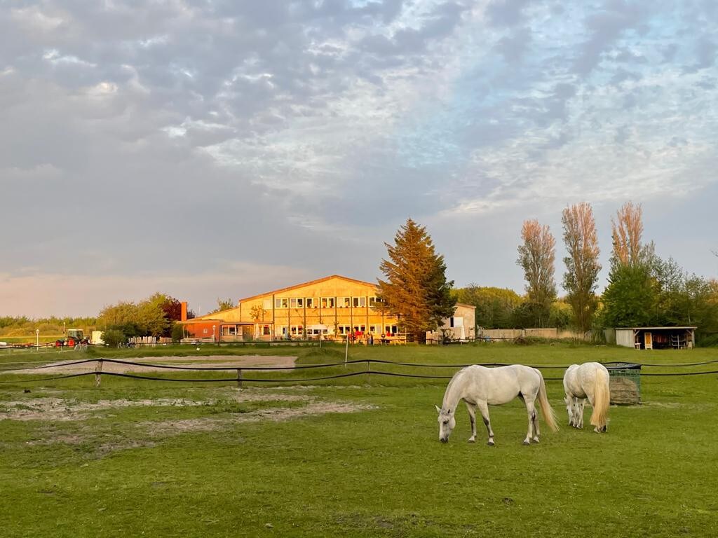 Privatzimmer auf Langeoog, DZ mit Strandfeeling