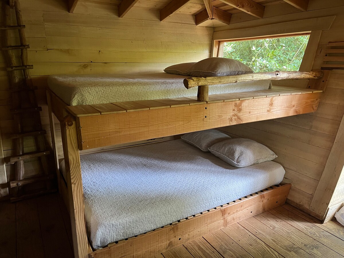 Cabane Mésange