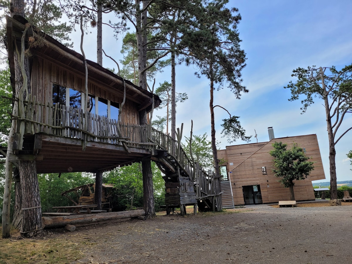 Treehouse "LAZY LODGE", 97944 Boxberg