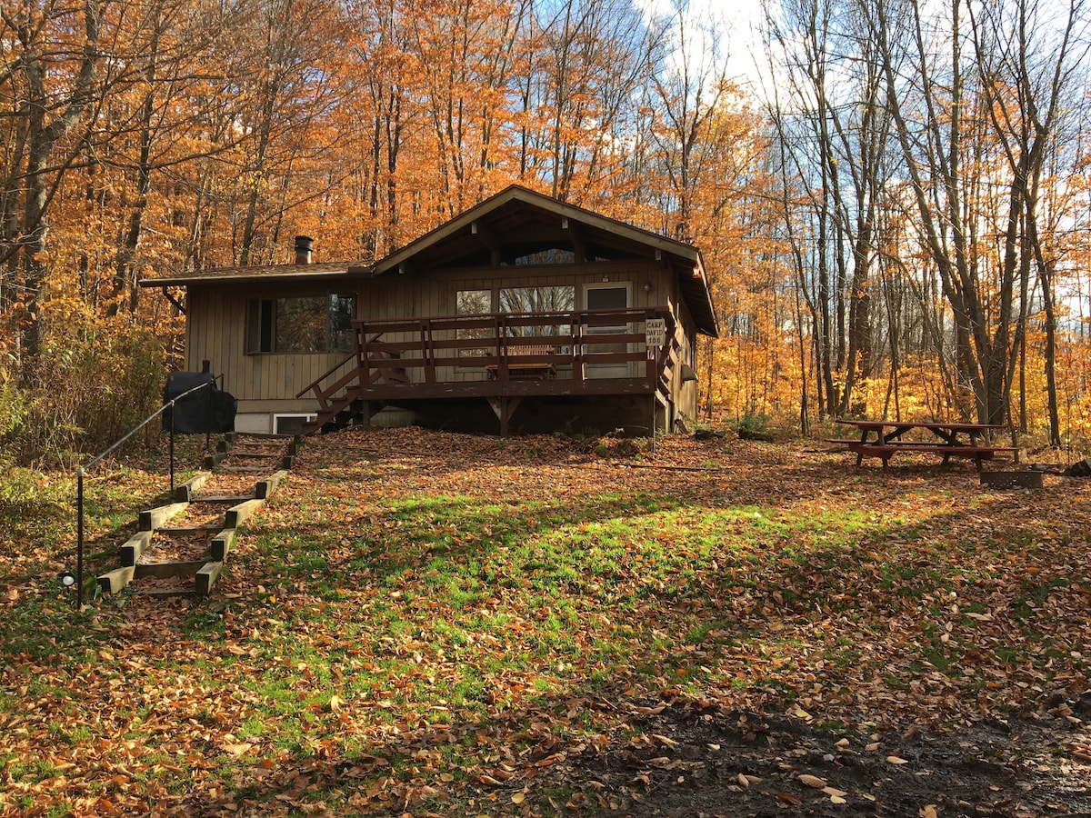 大卫营地：温馨的Allegheny Forest Retreat