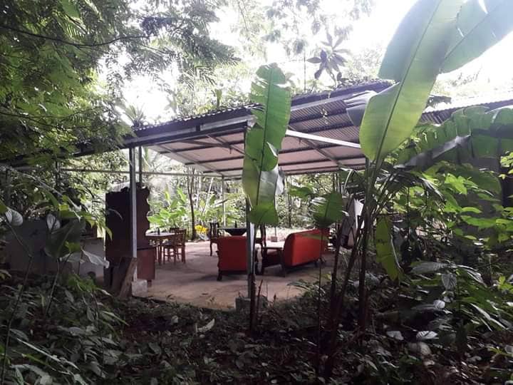Camping en el jardín de una bióloga tropical