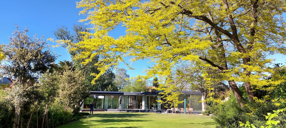 Gleditsia