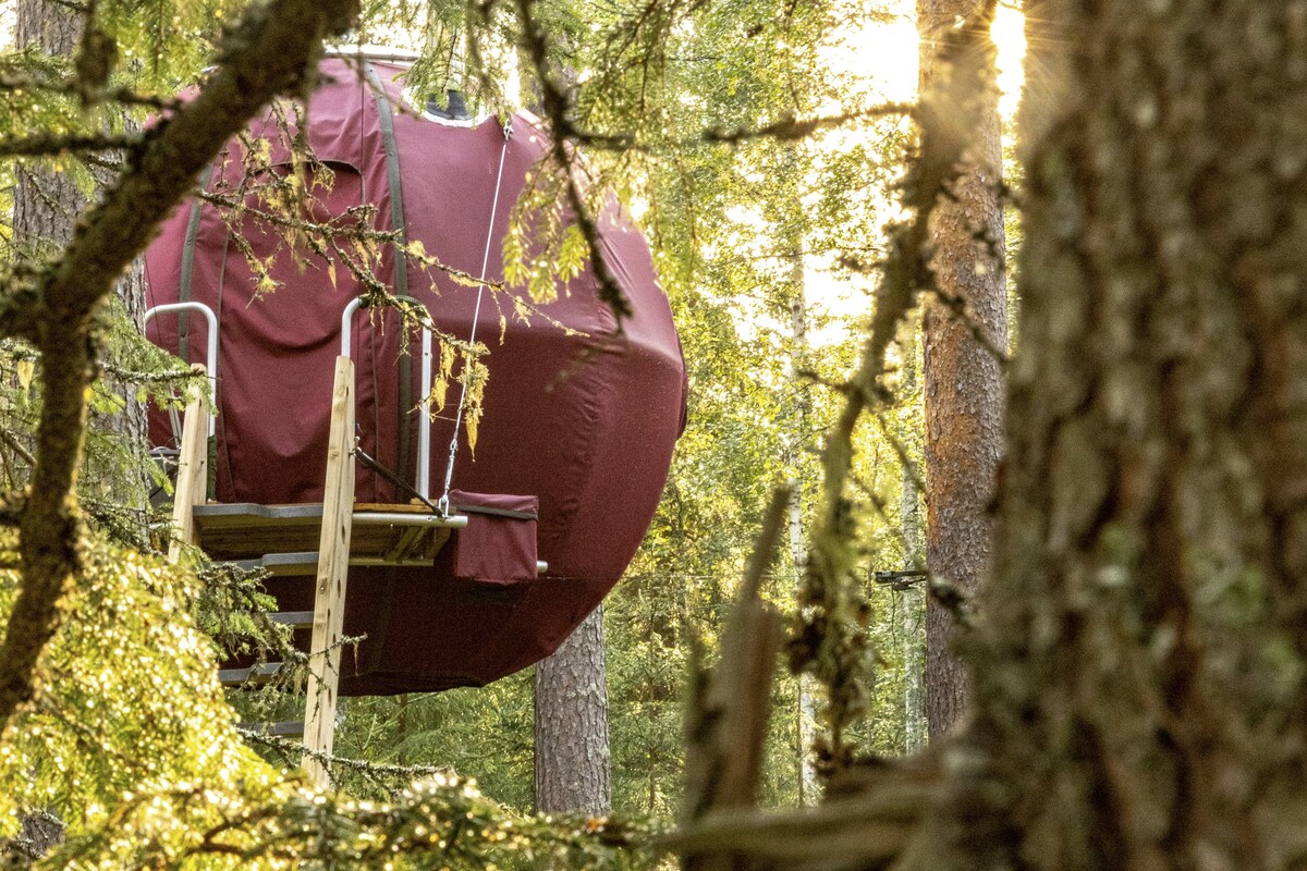 Supermåne是一座树屋，树屋落在树林中！