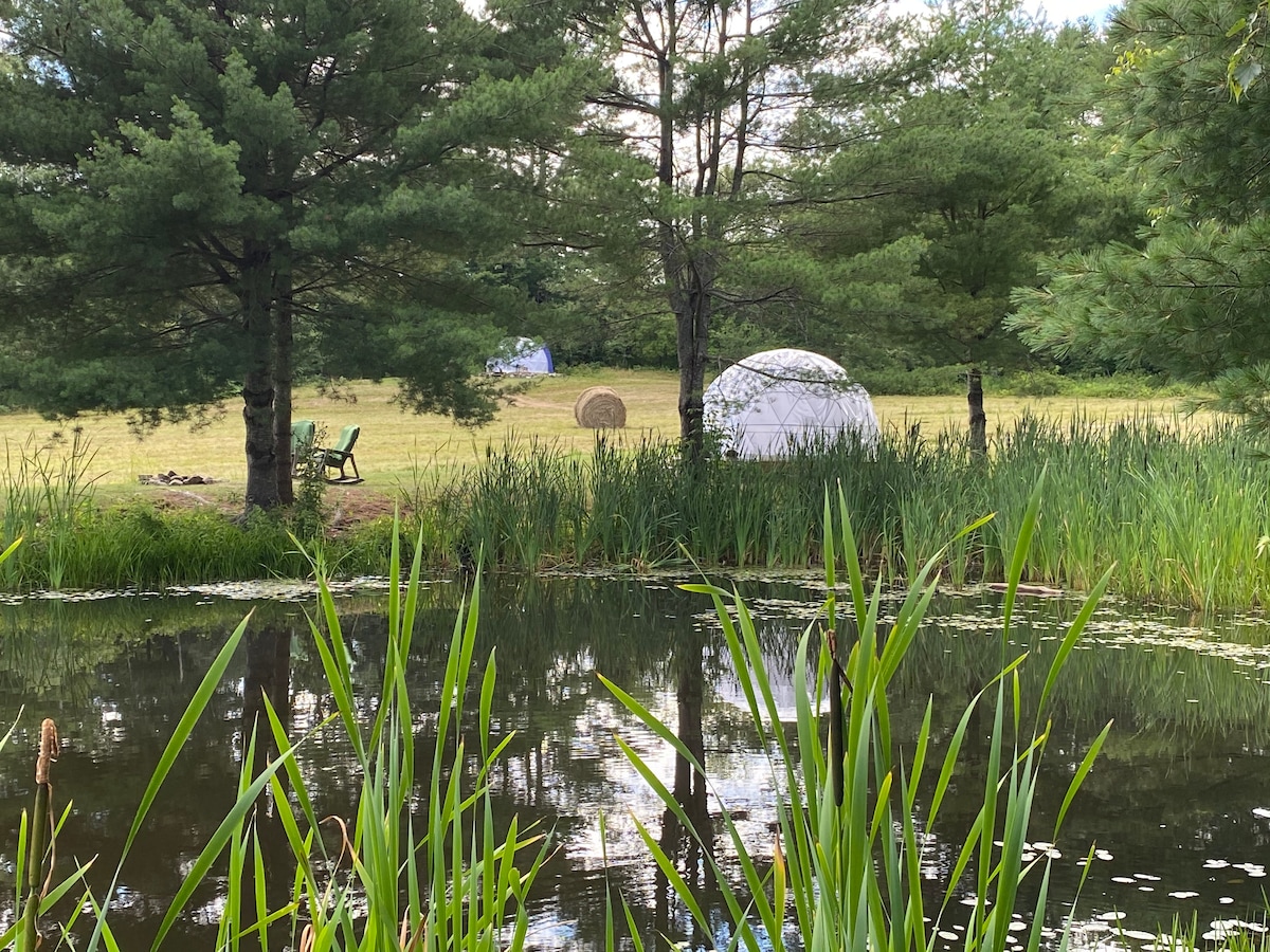 ComfyDome Glamping Pond-Side Site ！