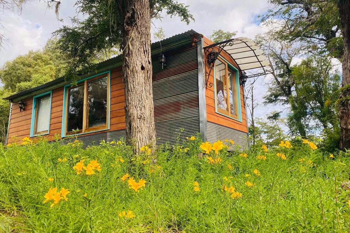 Magical tiny house in the Forest