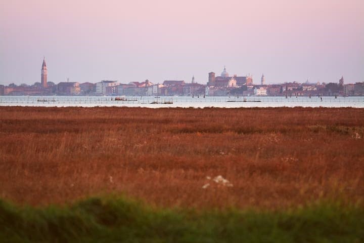 Venice Punto D'Osservazione - LOC - 09669