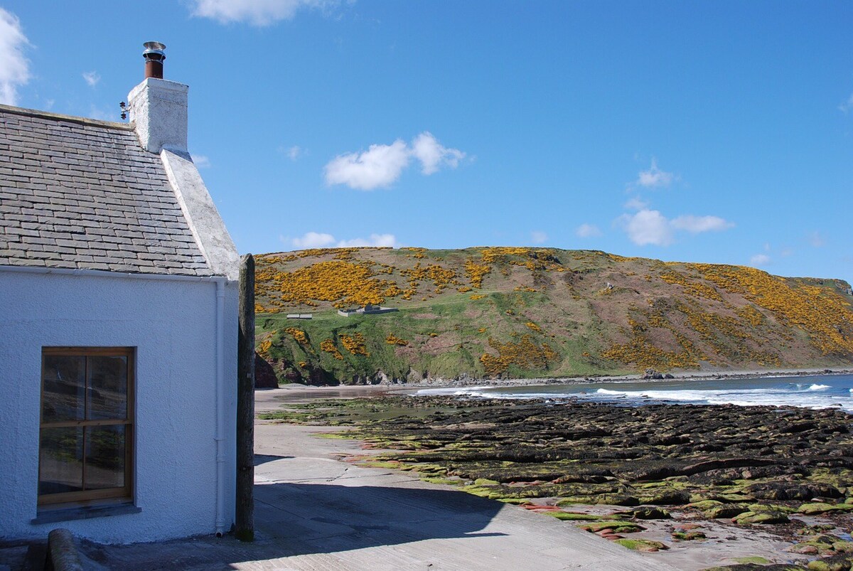 Gannet Cottage