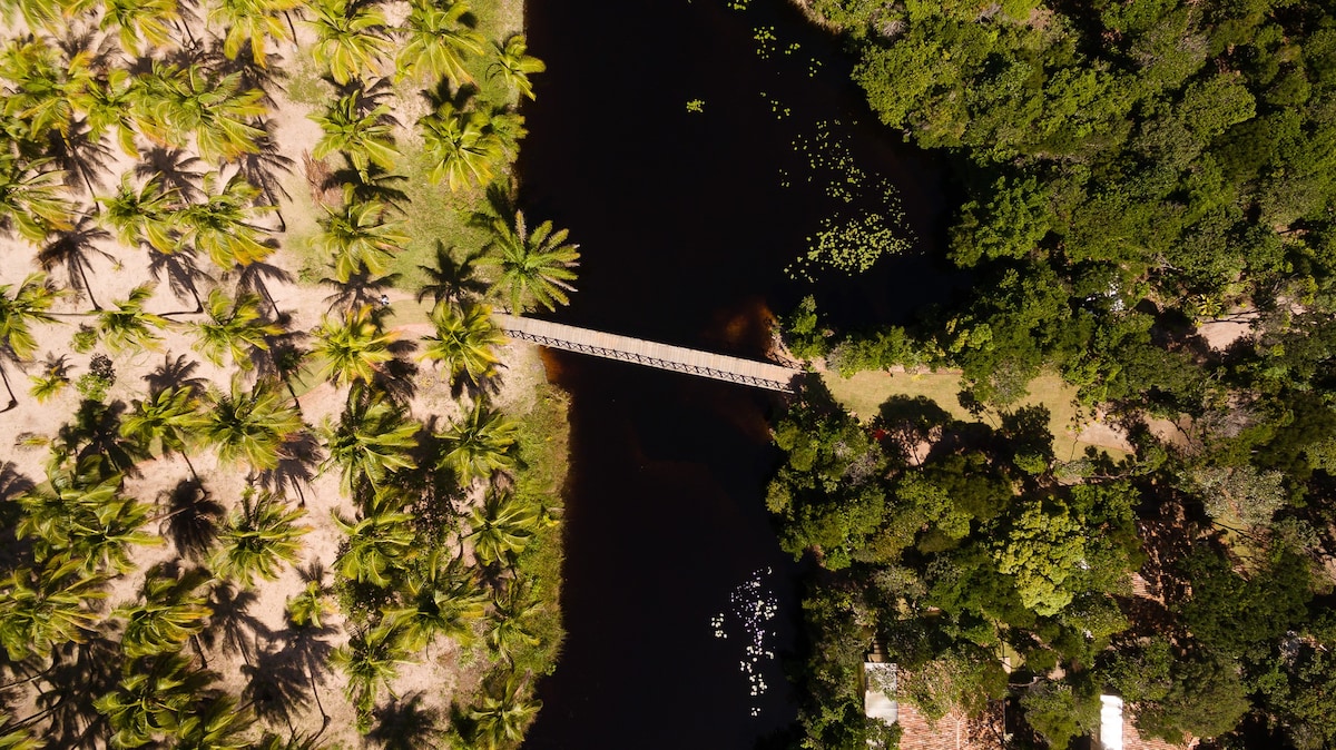 Bungalow Privativo Praia de Algodões Pura Natureza