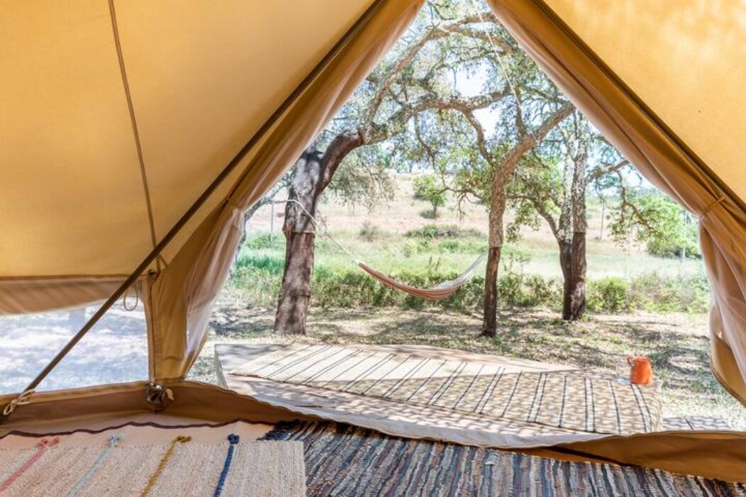 软木橡树林中舒适的钟形帐篷
