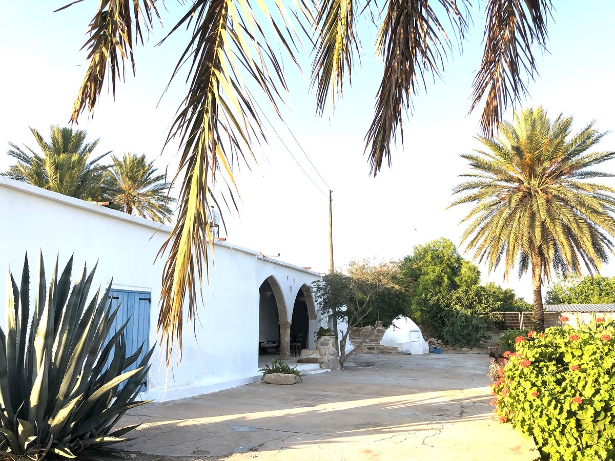 塞浦路斯土坯房的可持续生活