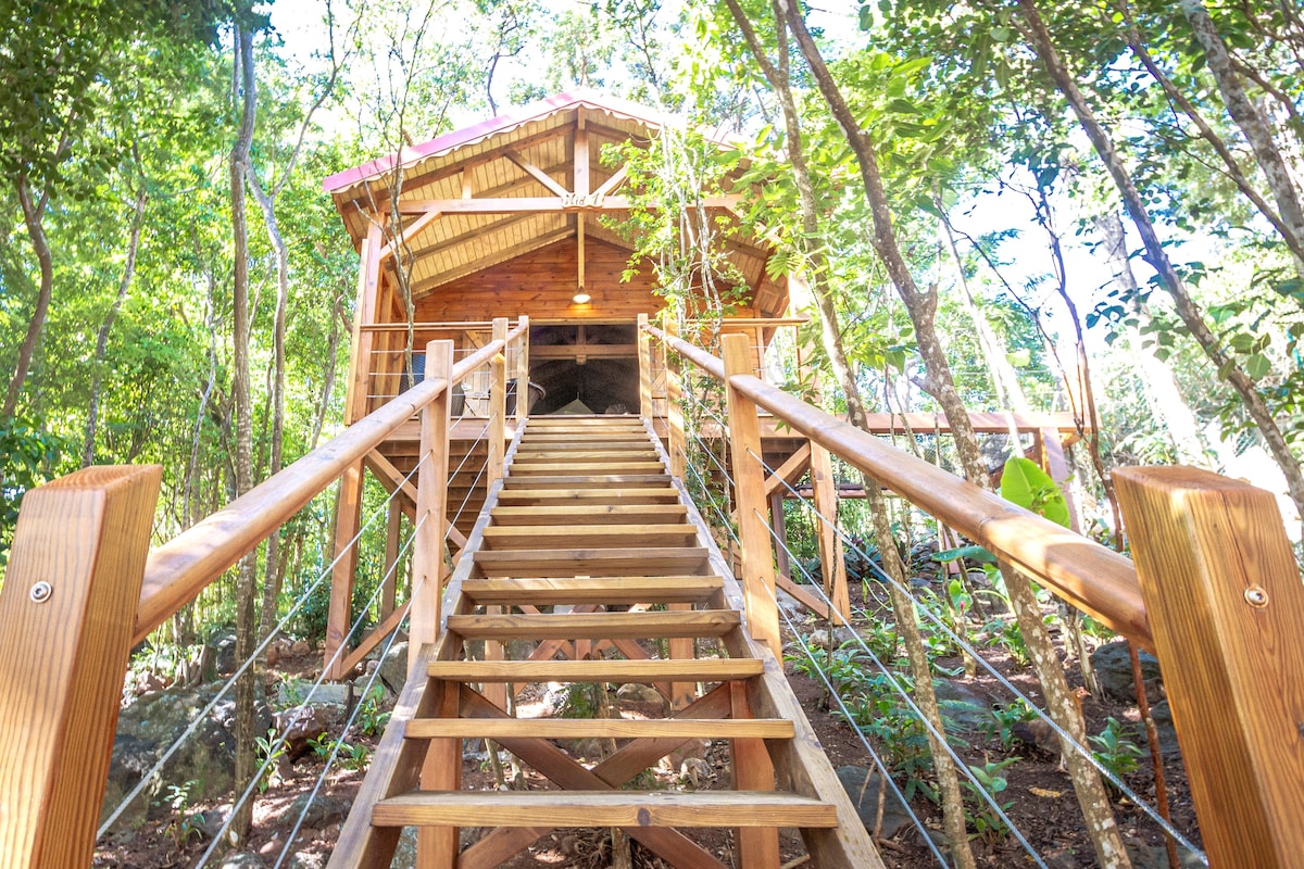 Cabane cosy et insolite : Nid des colibris