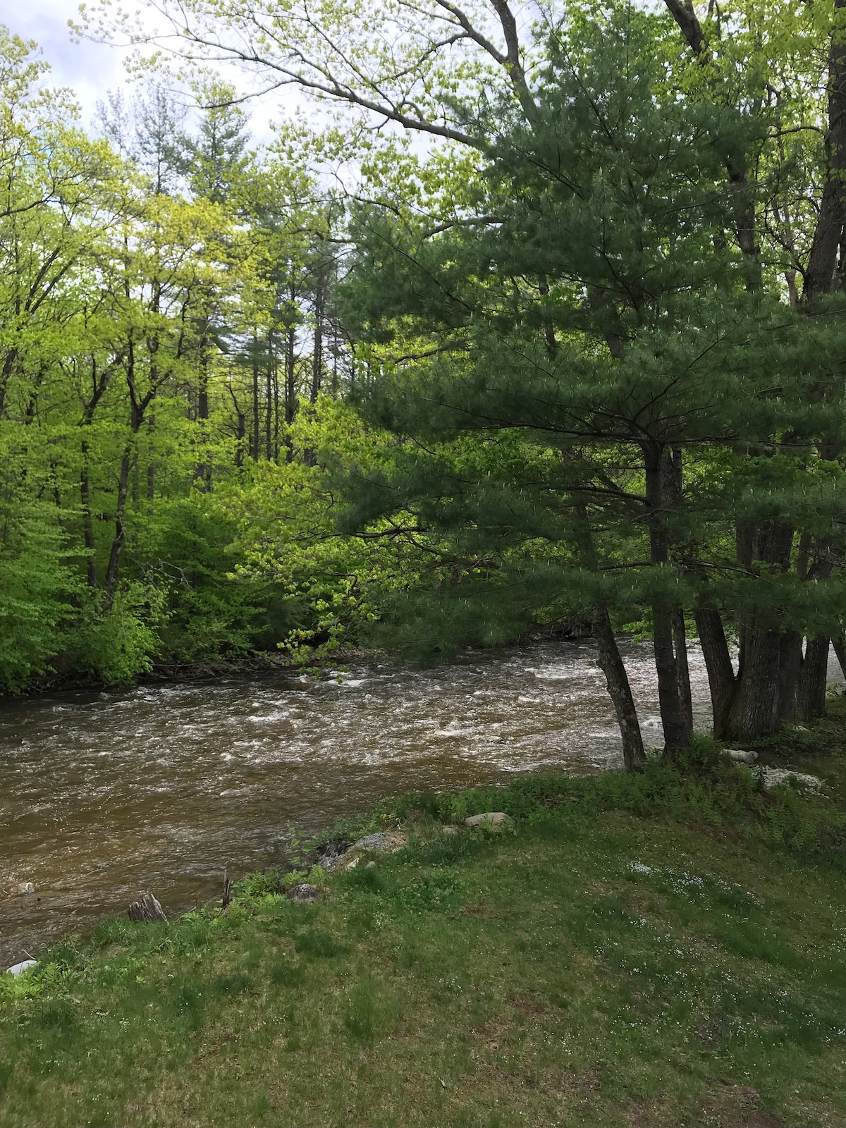 西翼在Mantana Meadows on the West River