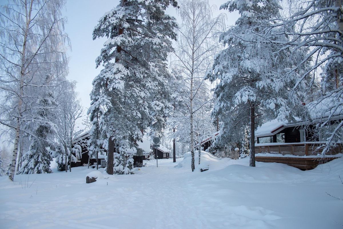 Villa Omena at Messilä Ski and Camping