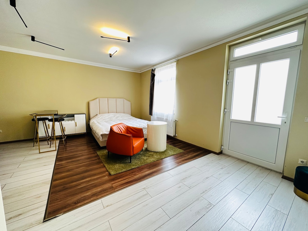 舒适的标准公寓特大床房 103 Krisztina 21