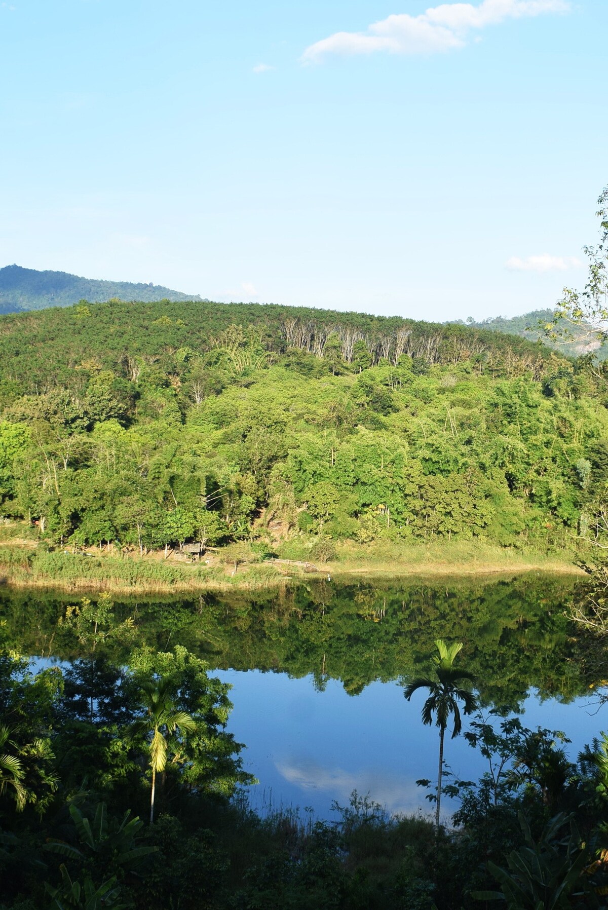 鳄梨树、客用套房、山景和水景。