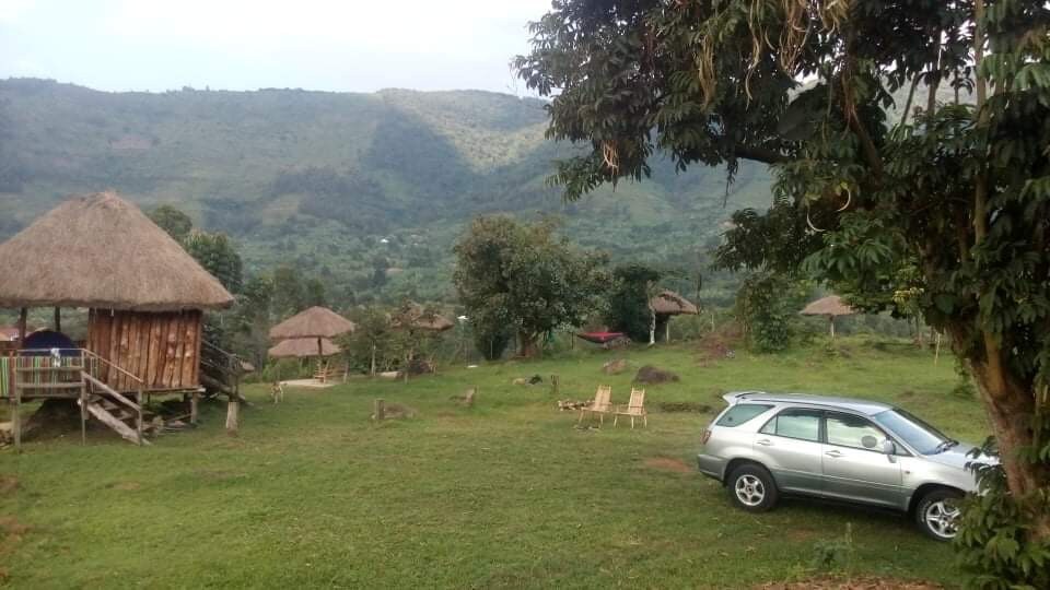Bwindi nature view campsite