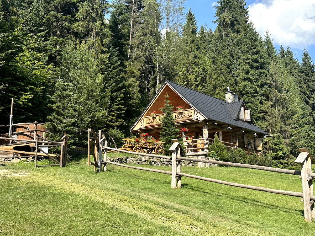 Mountain Chalet Zakopane, Nowy Targ