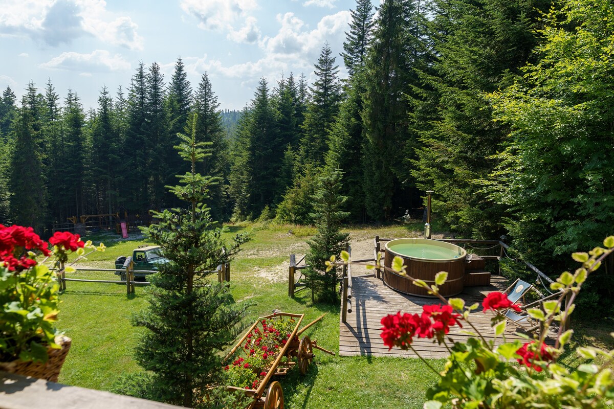 Mountain Chalet Zakopane, Nowy Targ