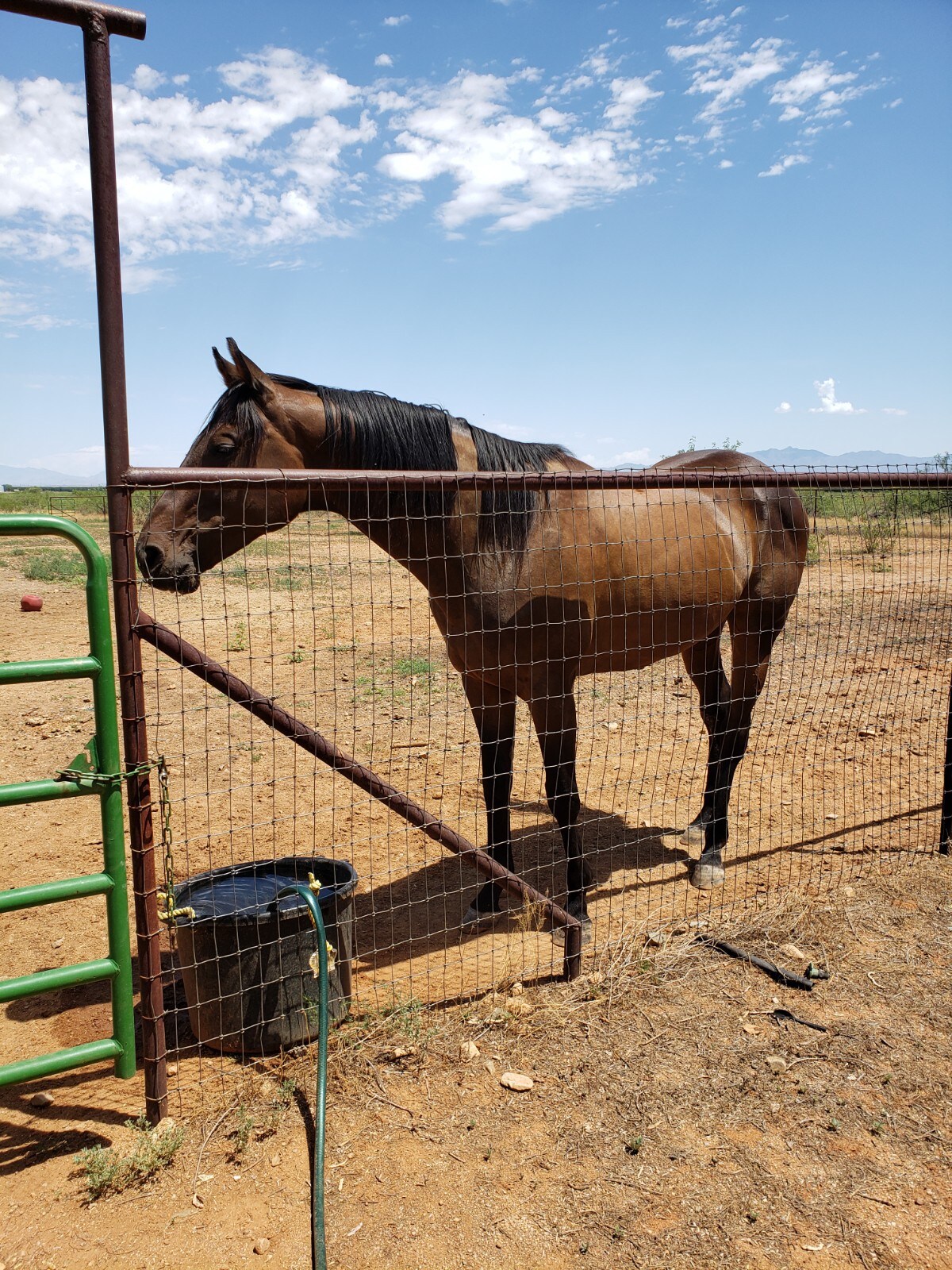 "Mi Ranchito" Historical Ranch