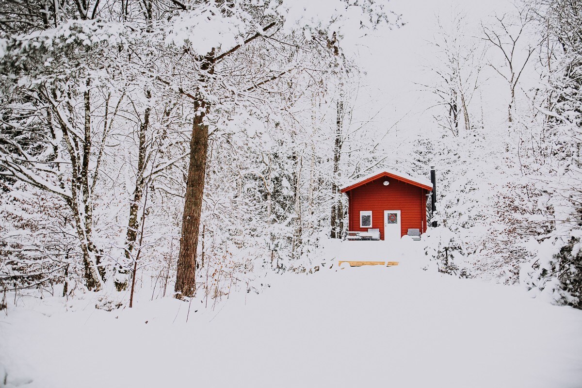 迷人的红色瑞典房子在森林中