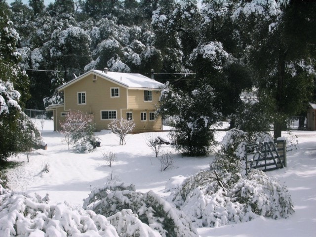 Bird Watcher Inn