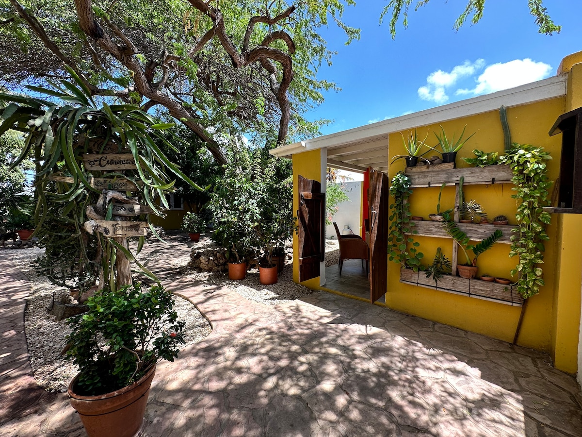 带泳池的Casa Tropical Cottage