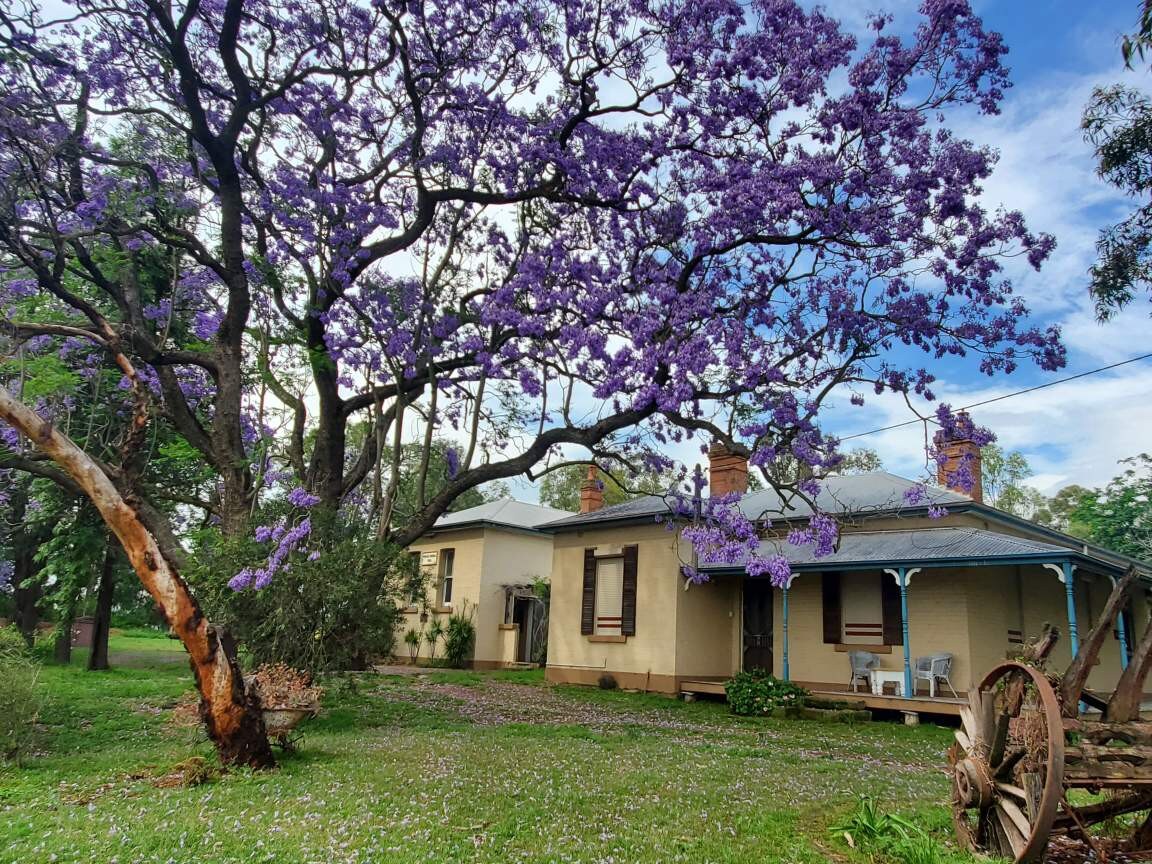 Historic Hunter Valley Old Schoolhouse, Pokolbin