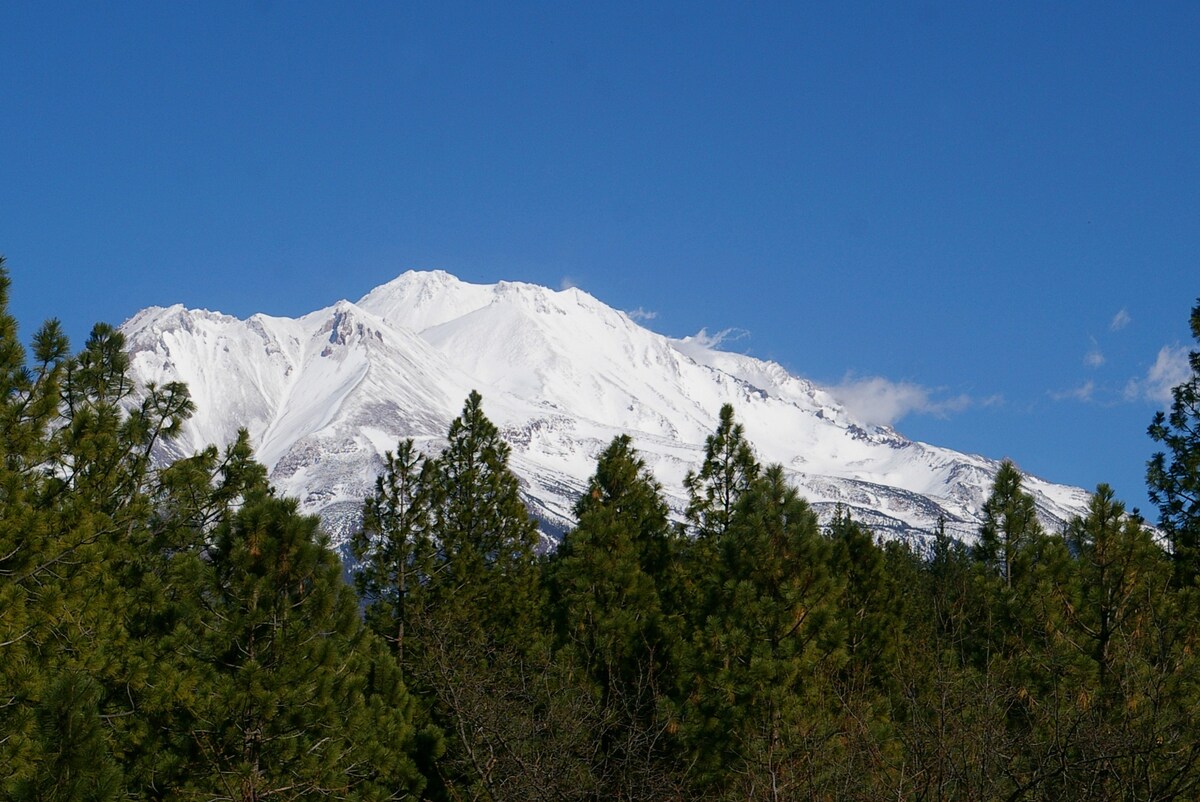 芒特沙斯塔森林度假胜地！