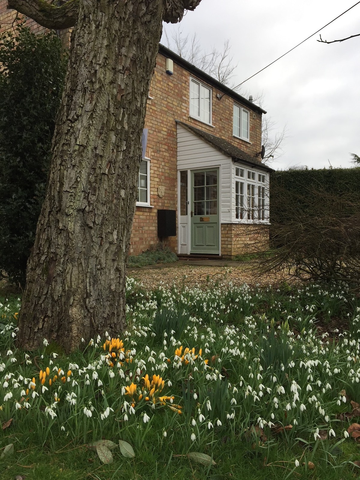 Beech View Cottage - Norfolk on the doorstep