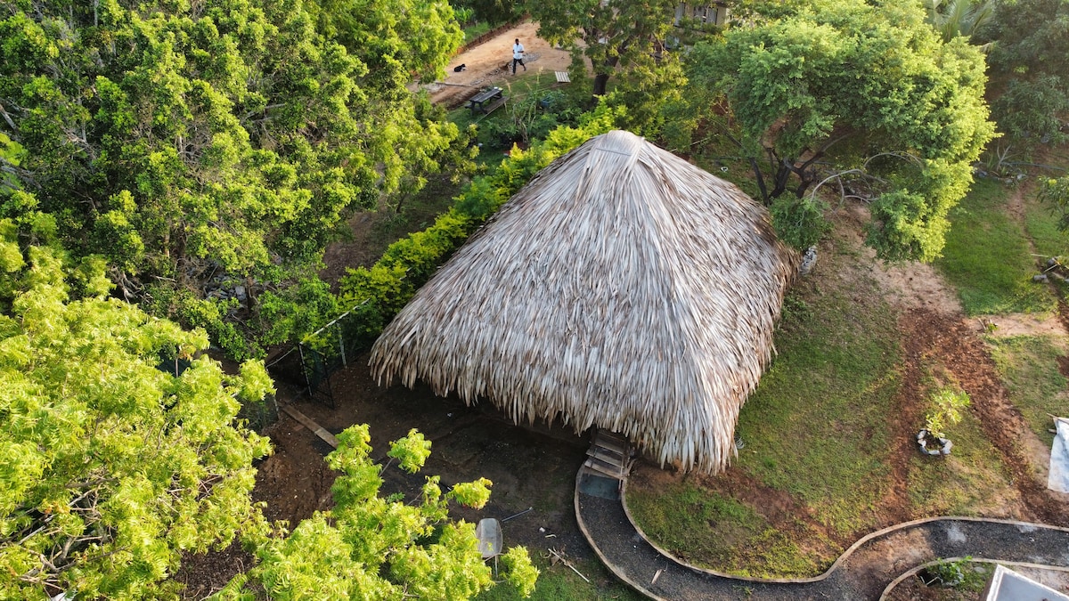 亚拉湖景小屋豪华露营帐篷