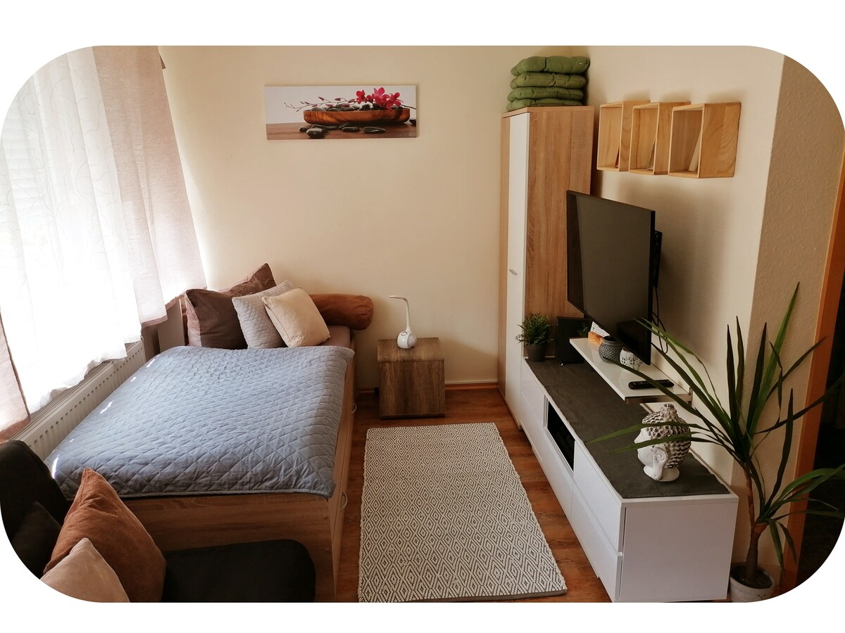 舒适的单人公寓，位于Schramberg-Sulgen